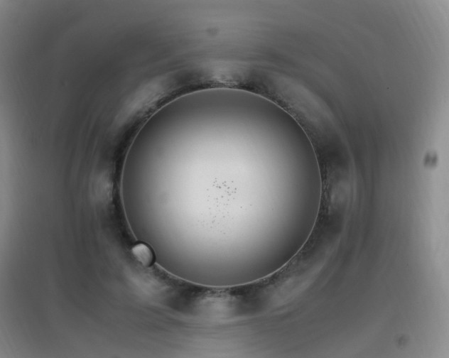 X0000096700595200802051413