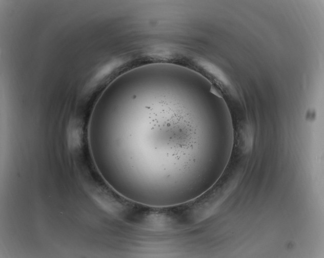 X0000096700596200802051413
