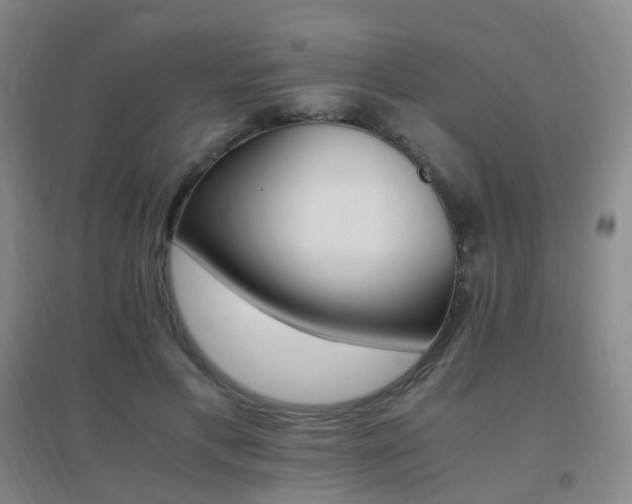 X0000096700597200802051413