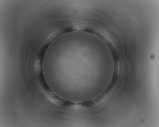 X0000096700598200802051413