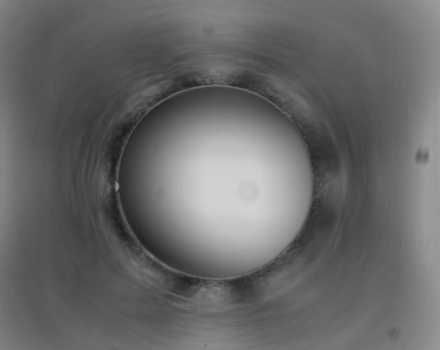 X0000096700599200802051413