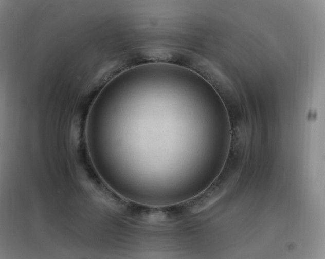 X0000096700600200802051413