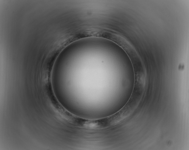 X0000096700602200802051413