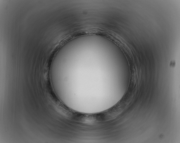 X0000096700604200802051413