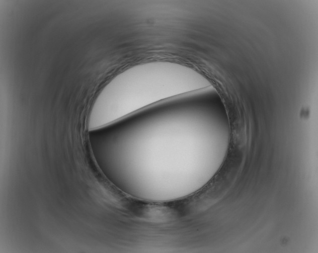 X0000096700605200802051413