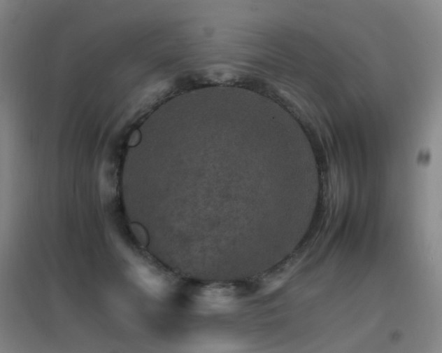 X0000096700606200802051413