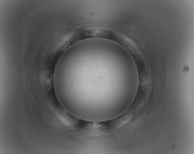 X0000096700607200802051412