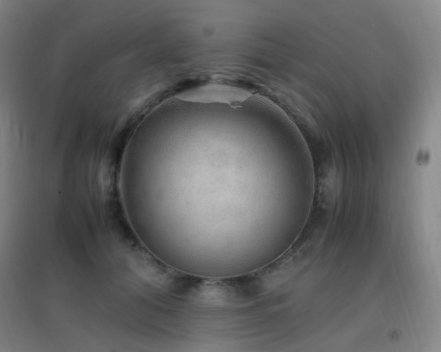 X0000096700608200802051412