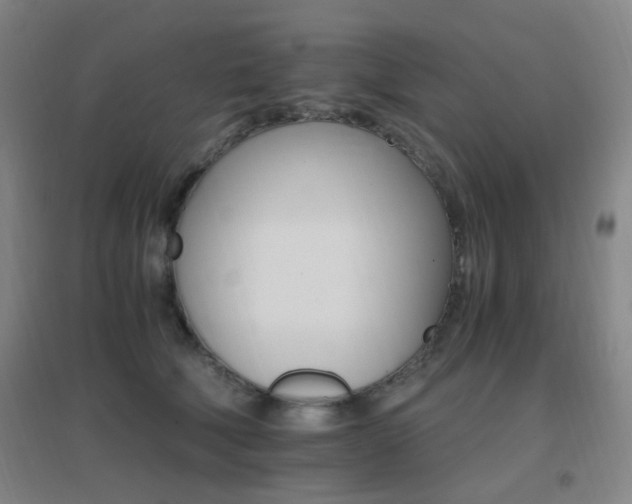 X0000096700610200802051412