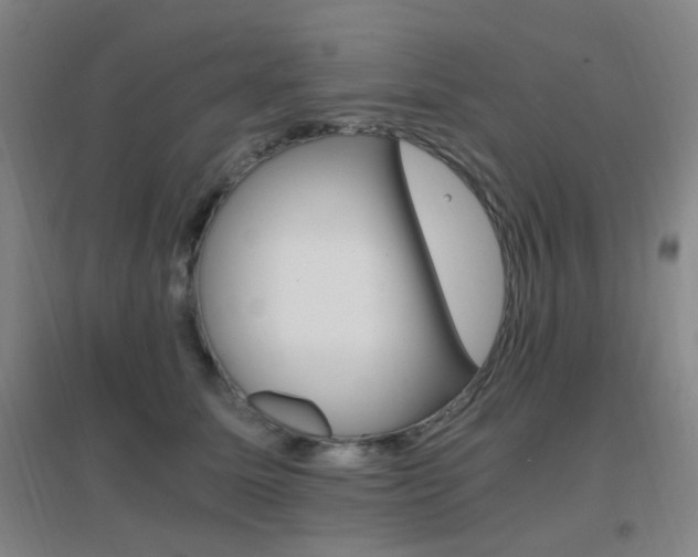 X0000096700611200802051412