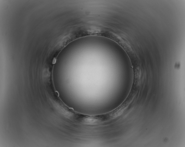 X0000096700614200802051412