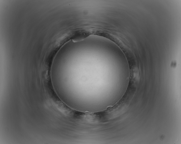 X0000096700615200802051412