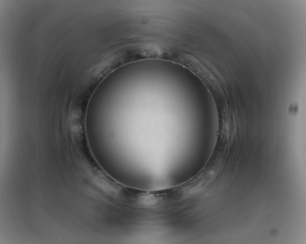 X0000096700616200802051412