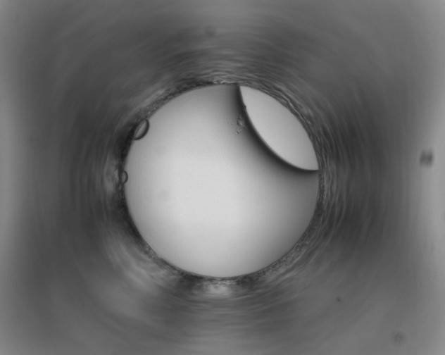 X0000096700618200802051412