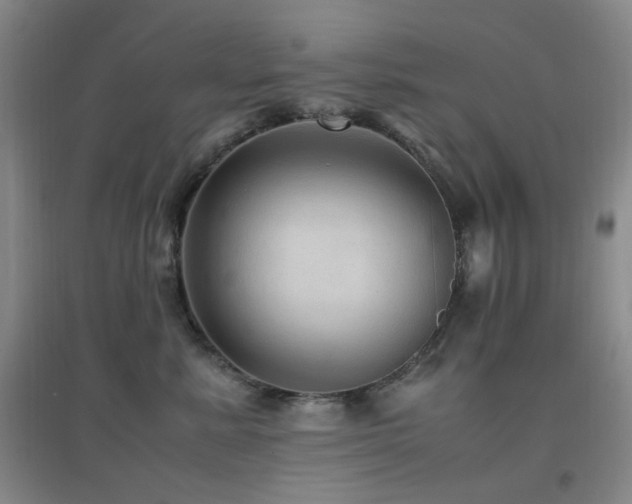 X0000096700619200802051412