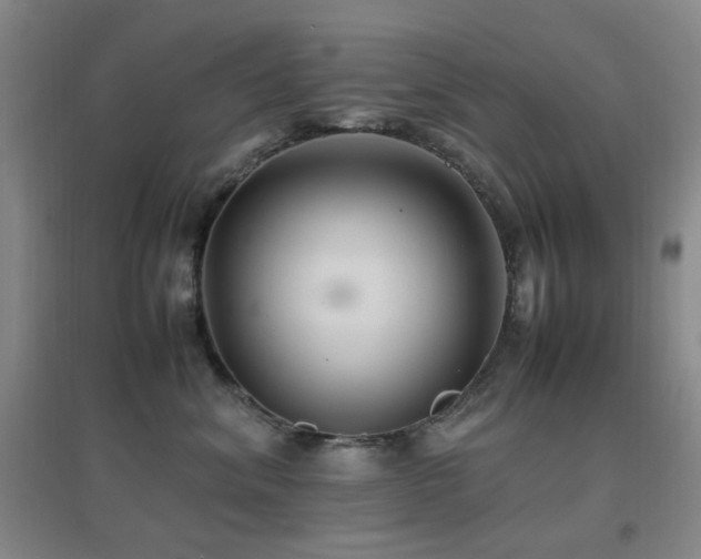 X0000096700620200802051412