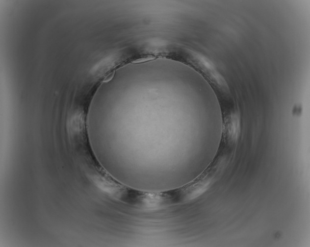 X0000096700623200802051412