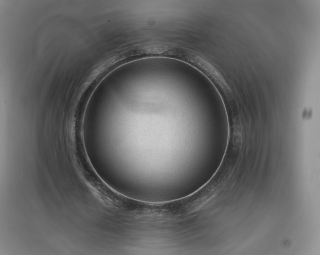 X0000096700626200802051411