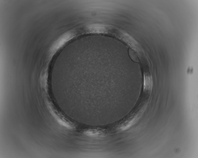 X0000096700627200802051411