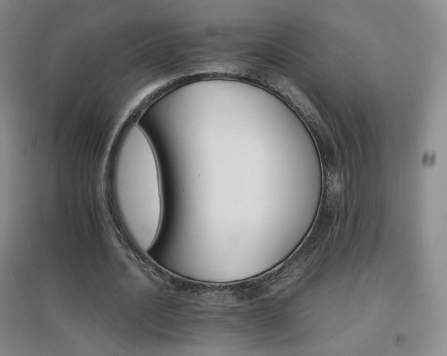 X0000096700628200802051411