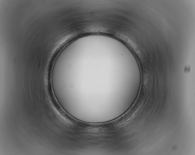 X0000096700629200802051411