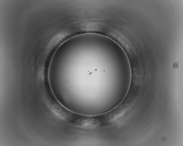 X0000096700631200802051412