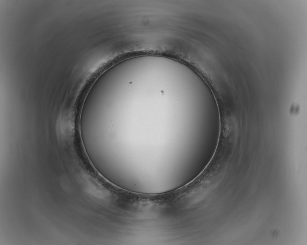 X0000096700632200802051412