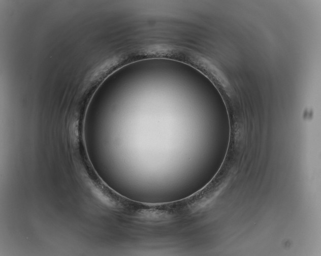 X0000096700633200802051412