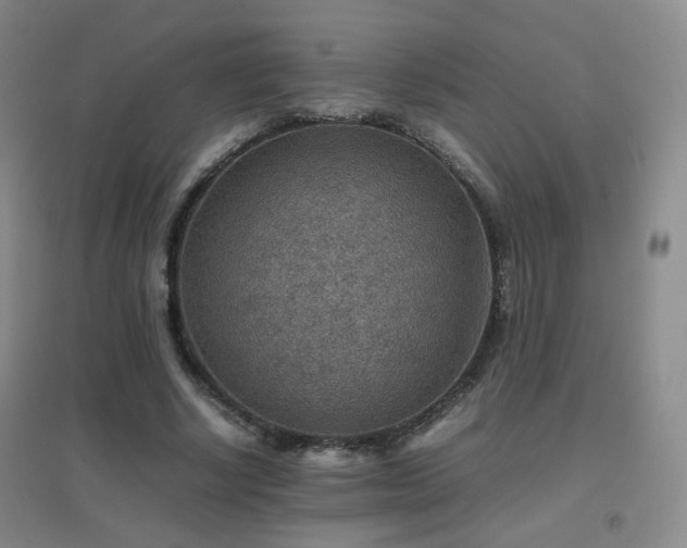 X0000096700634200802051412