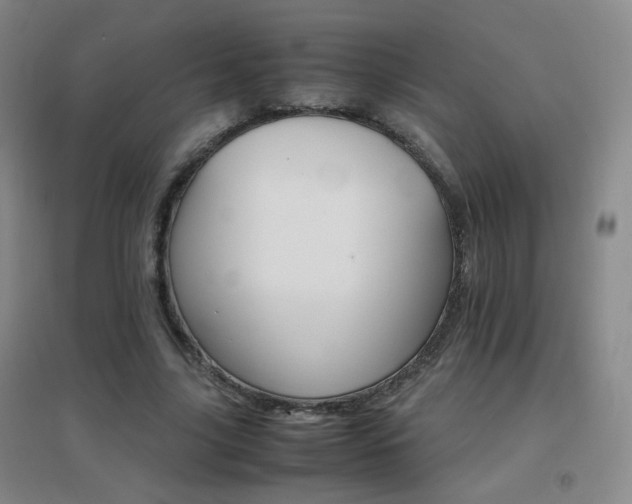 X0000096700635200802051412