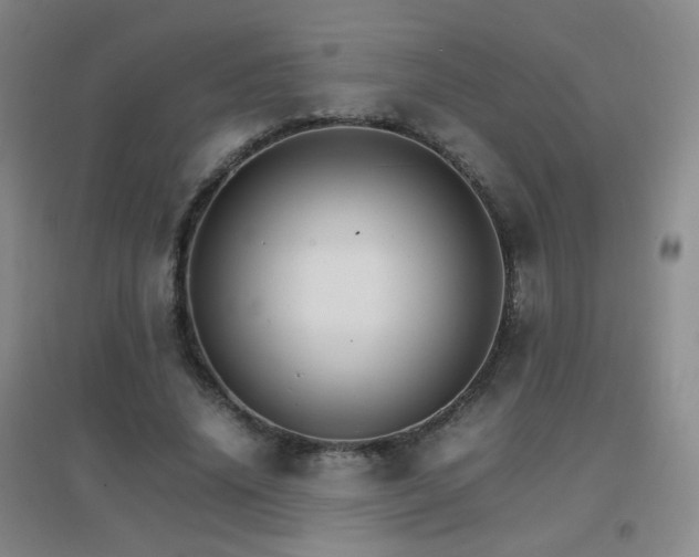 X0000096700636200802051412