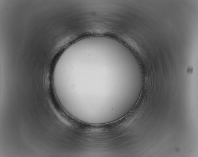 X0000096700638200802051412