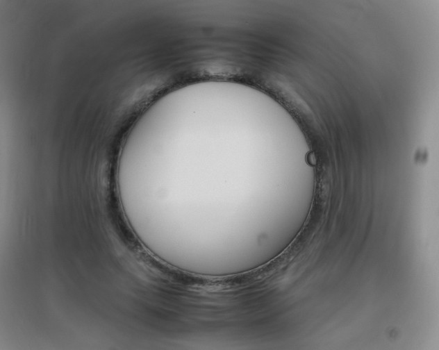 X0000096700639200802051412