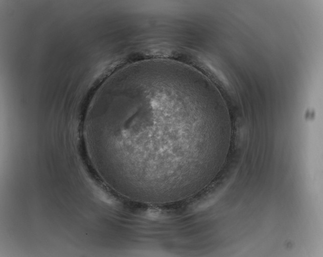 X0000096700641200802051412
