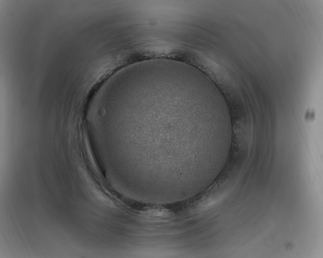 X0000096700642200802051412
