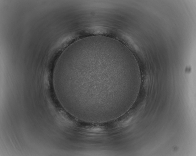 X0000096700643200802051412