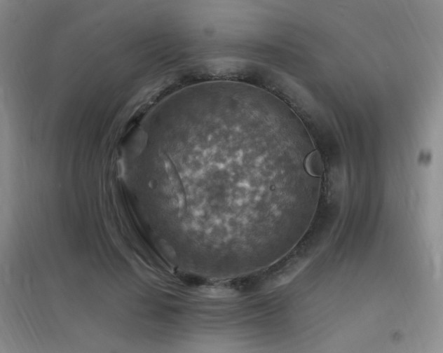 X0000096700644200802051412