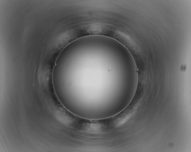 X0000096700645200802051412