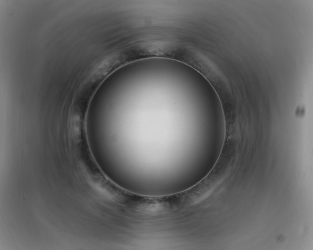 X0000096700646200802051412