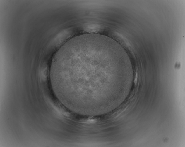 X0000096700647200802051412