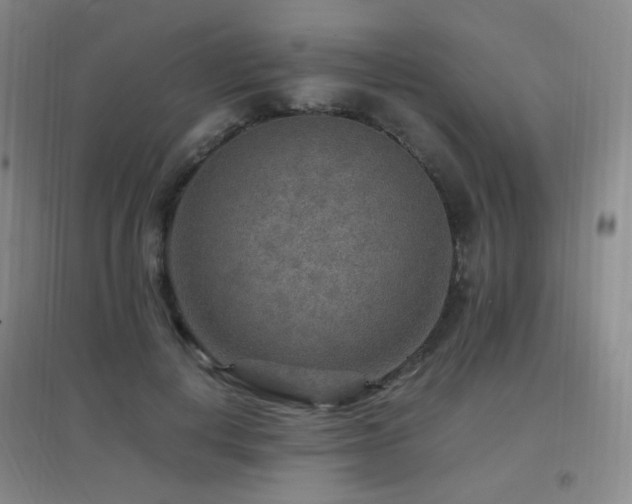 X0000096700648200802051412