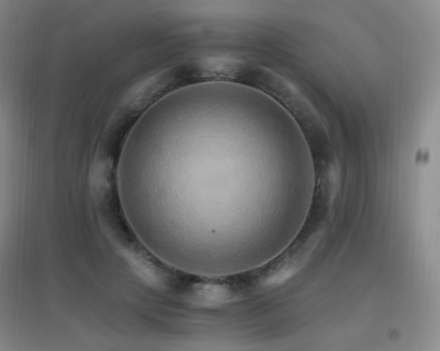 X0000096700649200802051412