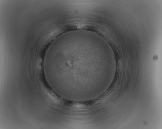 X0000096700650200802051412