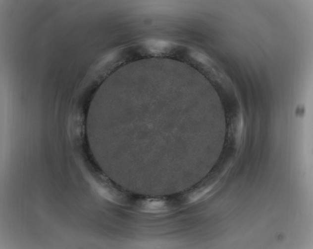 X0000096700651200802051412
