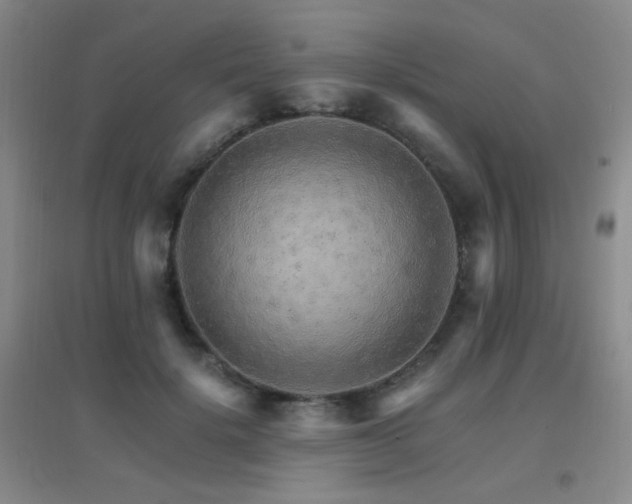 X0000096700652200802051412