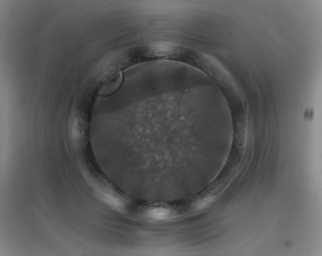 X0000096700653200802051412