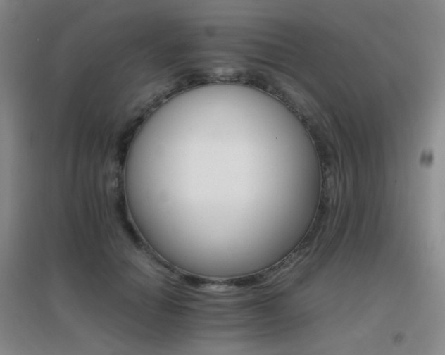 X0000096700654200802051412