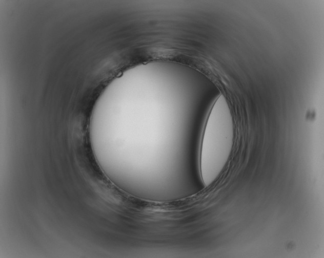 X0000096700655200802051412