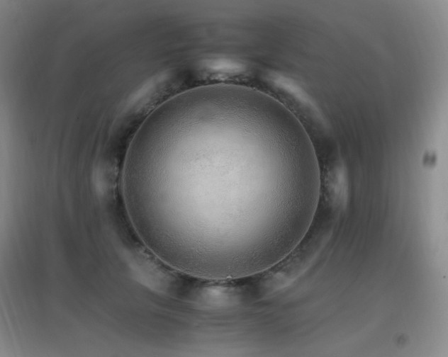 X0000096700657200802051412
