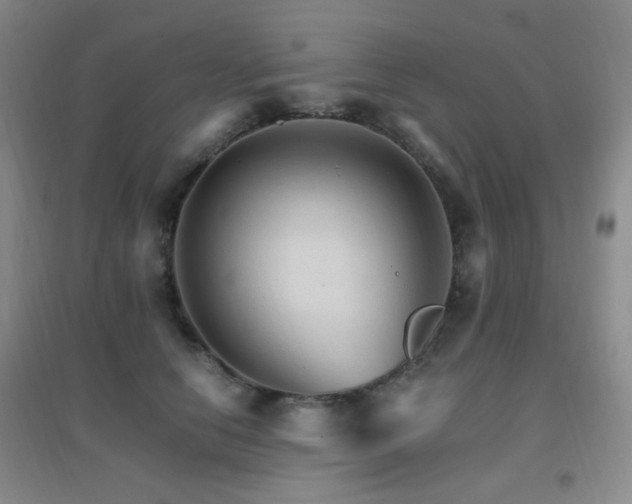 X0000096700658200802051412